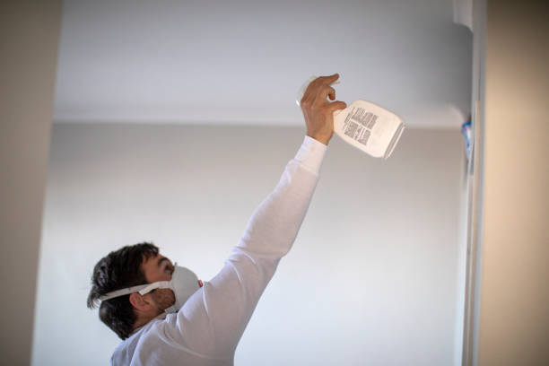 Best Attic Mold Removal  in Hemlock, MI