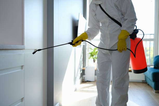 Mold Removal and Inspection in Hemlock, MI