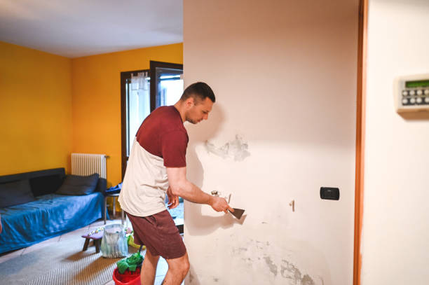 Best Emergency Mold Removal  in Hemlock, MI